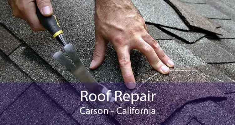 Roof Repair Carson - California