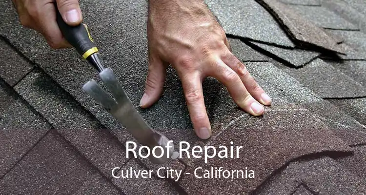 Roof Repair Culver City - California
