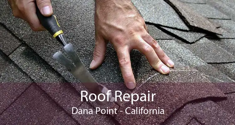 Roof Repair Dana Point - California