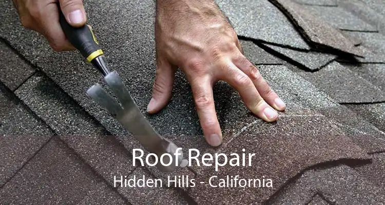 Roof Repair Hidden Hills - California