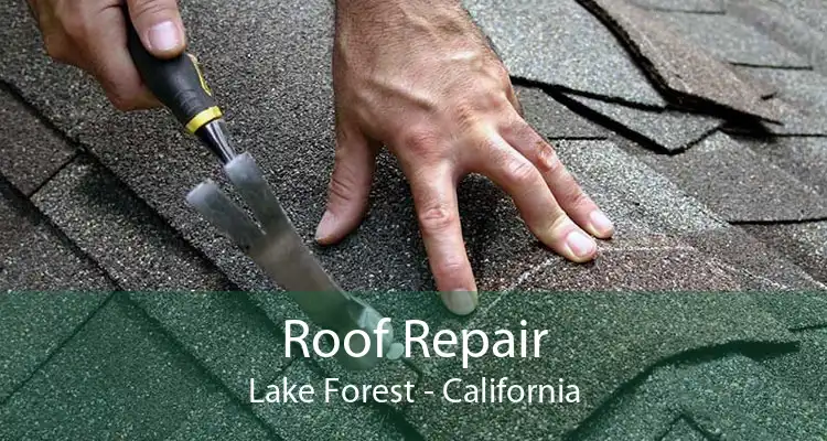 Roof Repair Lake Forest - California