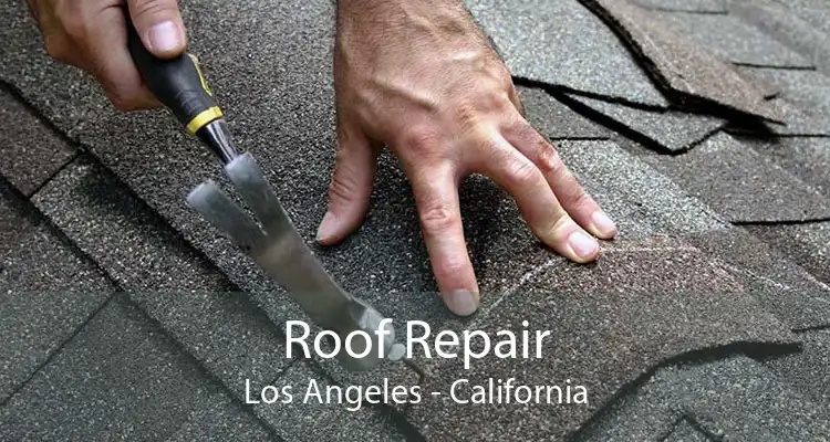 Roof Repair Los Angeles - California