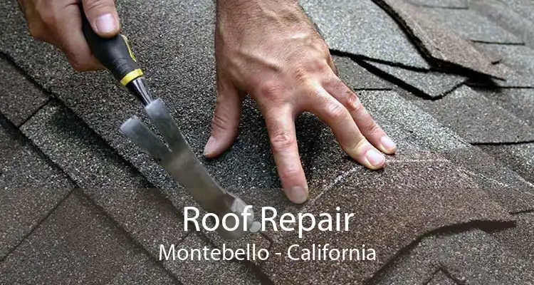 Roof Repair Montebello - California