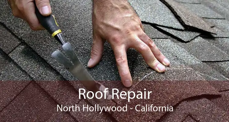 Roof Repair North Hollywood - California