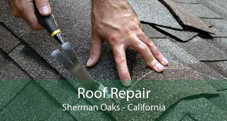 Roof Repair Sherman Oaks - California