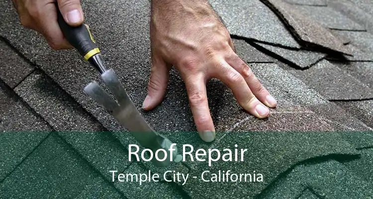 Roof Repair Temple City - California