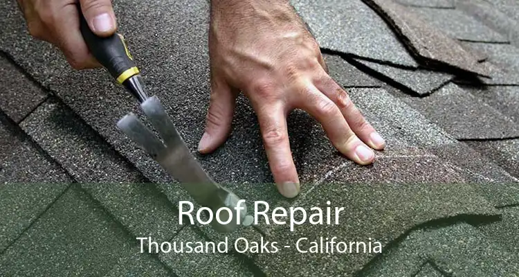 Roof Repair Thousand Oaks - California