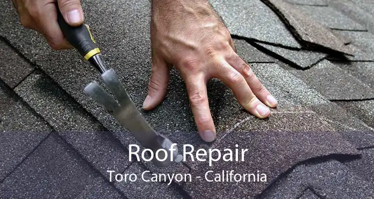 Roof Repair Toro Canyon - California