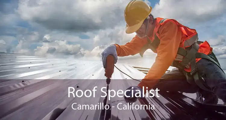 Roof Specialist Camarillo - California