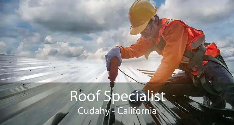 Roof Specialist Cudahy - California