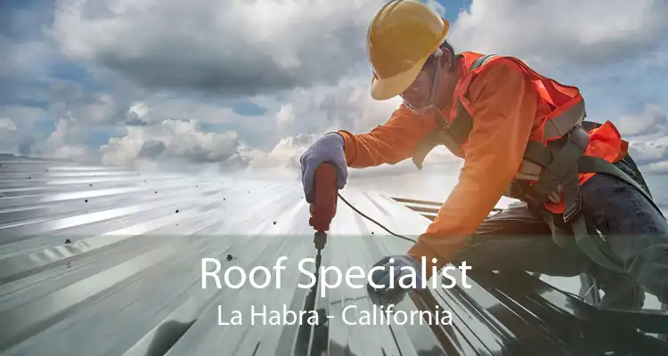 Roof Specialist La Habra - California