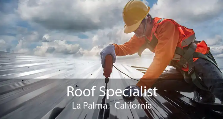 Roof Specialist La Palma - California