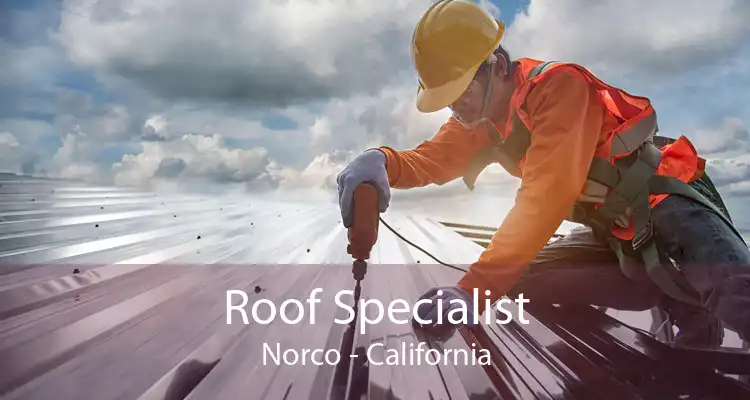 Roof Specialist Norco - California