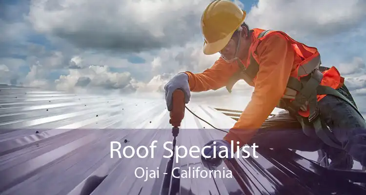 Roof Specialist Ojai - California