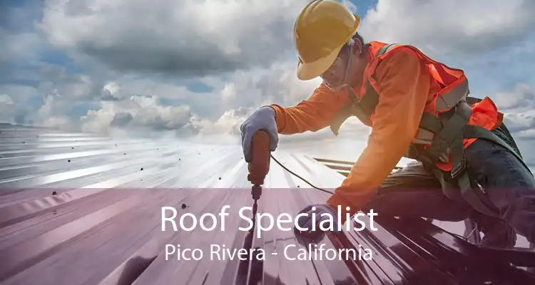 Roof Specialist Pico Rivera - California