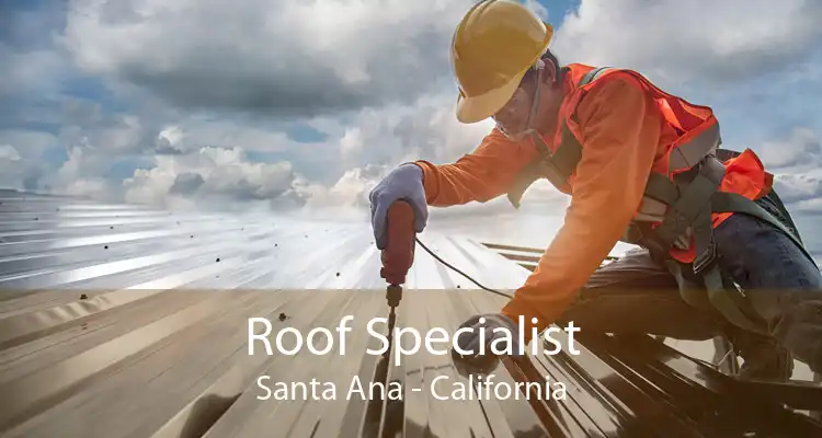 Roof Specialist Santa Ana - California