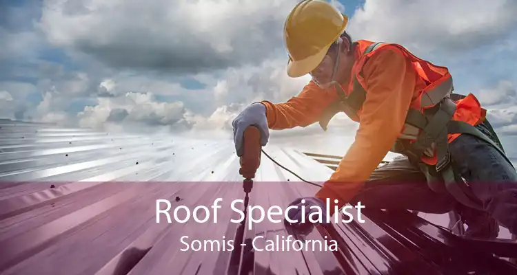 Roof Specialist Somis - California