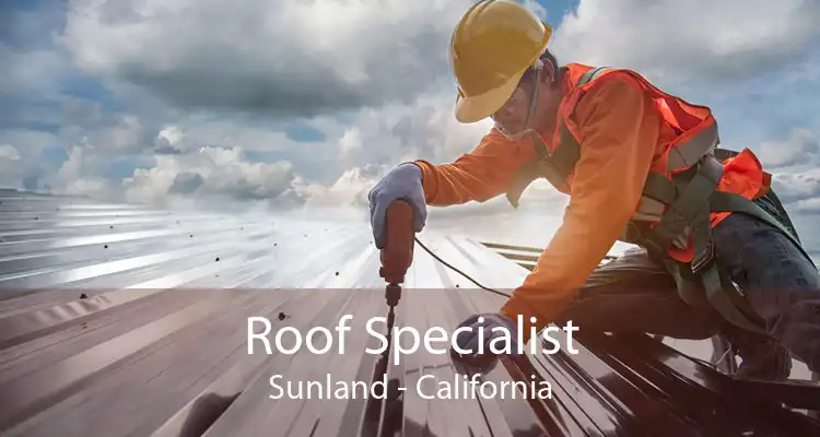 Roof Specialist Sunland - California