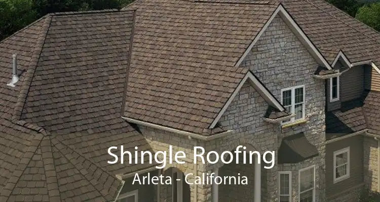 Shingle Roofing Arleta - California