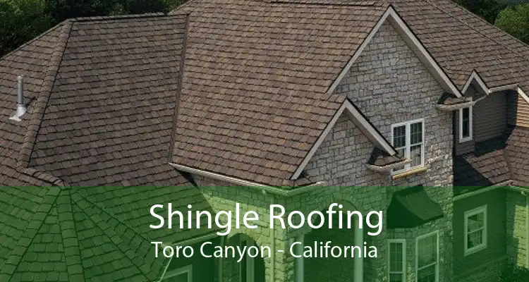 Shingle Roofing Toro Canyon - California