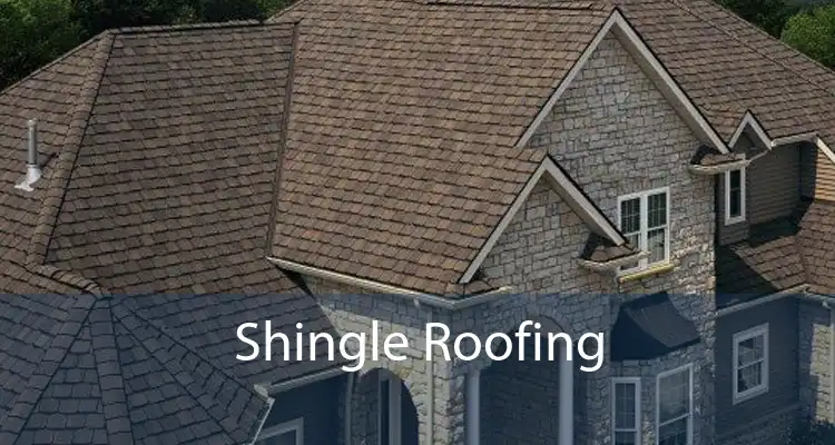 Shingle Roofing 