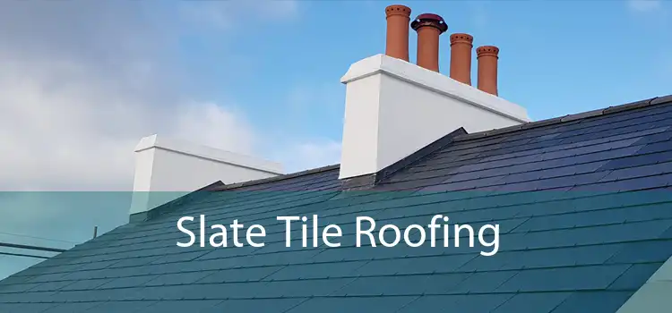 Slate Tile Roofing 