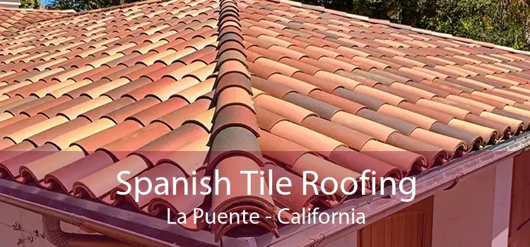 Spanish Tile Roofing La Puente - California