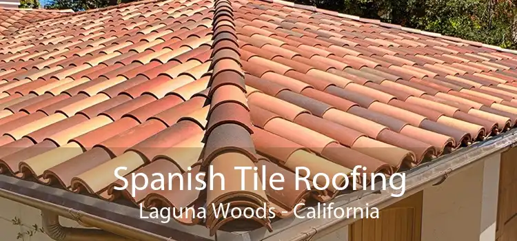 Spanish Tile Roofing Laguna Woods - California