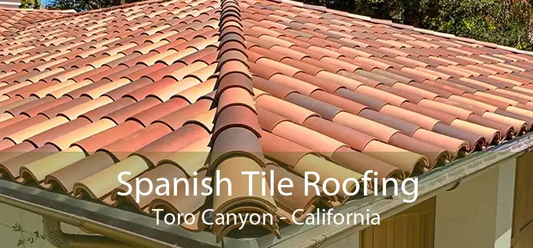 Spanish Tile Roofing Toro Canyon - California