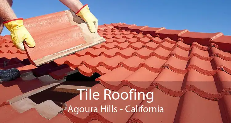 Tile Roofing Agoura Hills - California