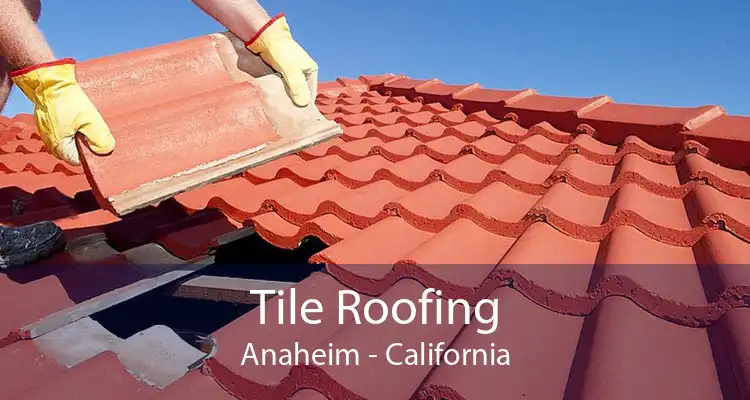 Tile Roofing Anaheim - California