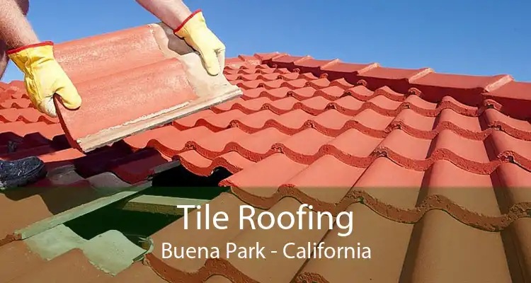 Tile Roofing Buena Park - California