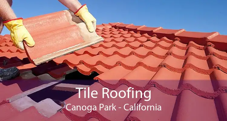 Tile Roofing Canoga Park - California