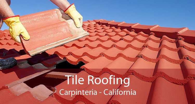 Tile Roofing Carpinteria - California