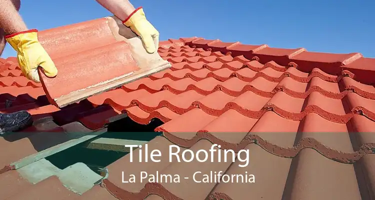 Tile Roofing La Palma - California