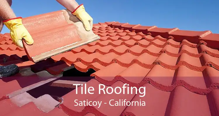 Tile Roofing Saticoy - California