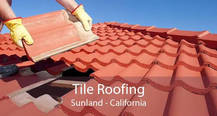 Tile Roofing Sunland - California