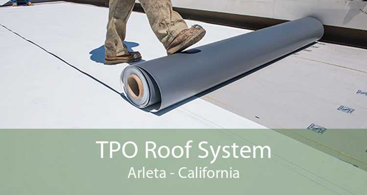 TPO Roof System Arleta - California