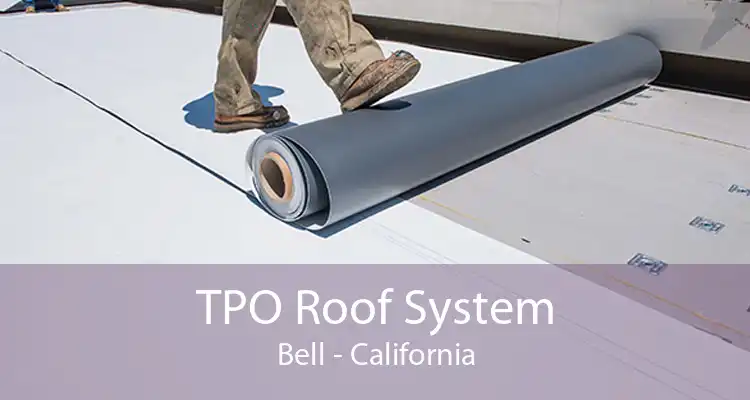 TPO Roof System Bell - California