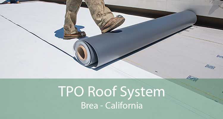 TPO Roof System Brea - California