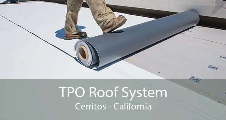 TPO Roof System Cerritos - California