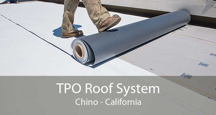 TPO Roof System Chino - California