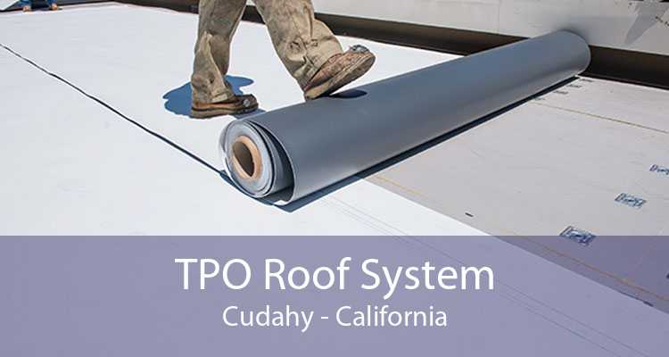 TPO Roof System Cudahy - California