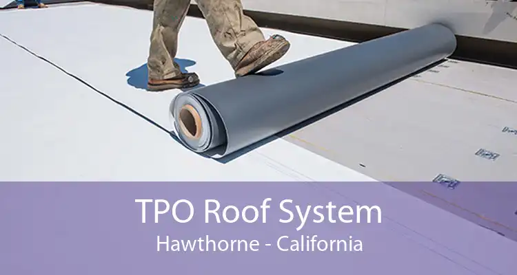 TPO Roof System Hawthorne - California