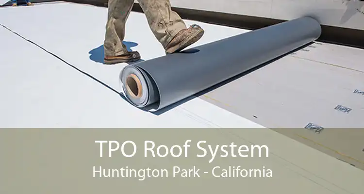 TPO Roof System Huntington Park - California