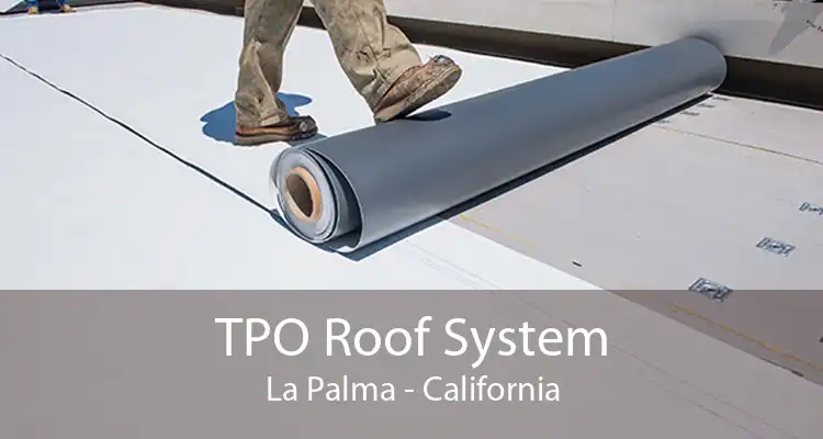 TPO Roof System La Palma - California