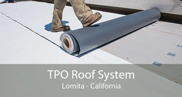 TPO Roof System Lomita - California