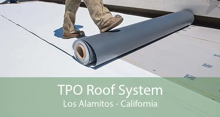 TPO Roof System Los Alamitos - California