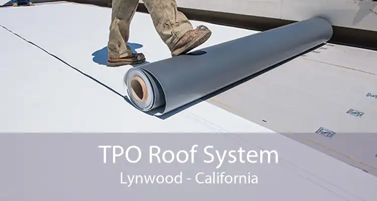 TPO Roof System Lynwood - California