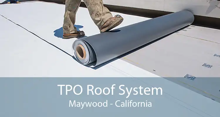 TPO Roof System Maywood - California